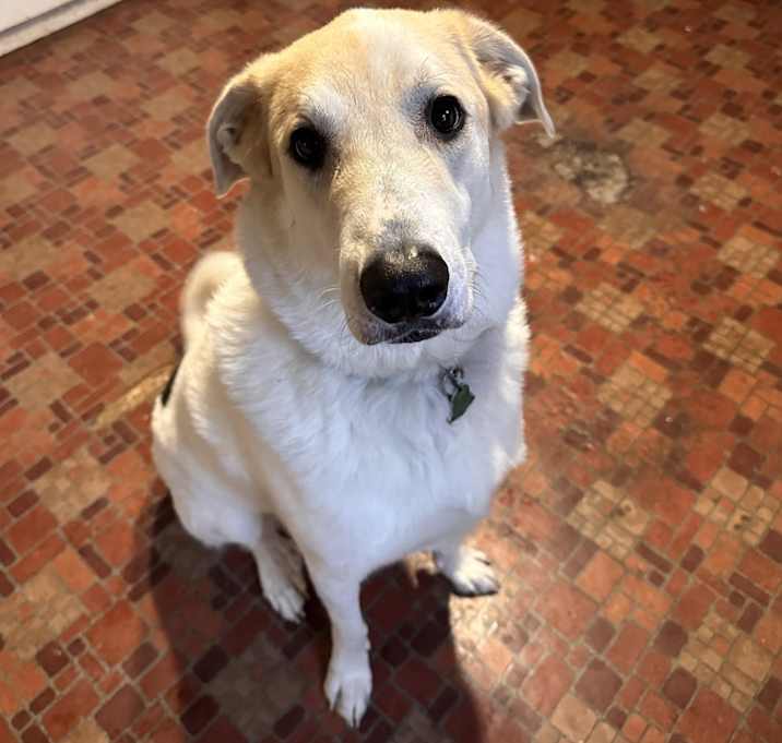 Photo of Samwise