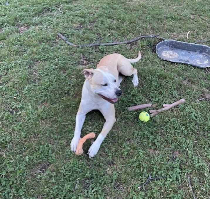 Photo of Luna