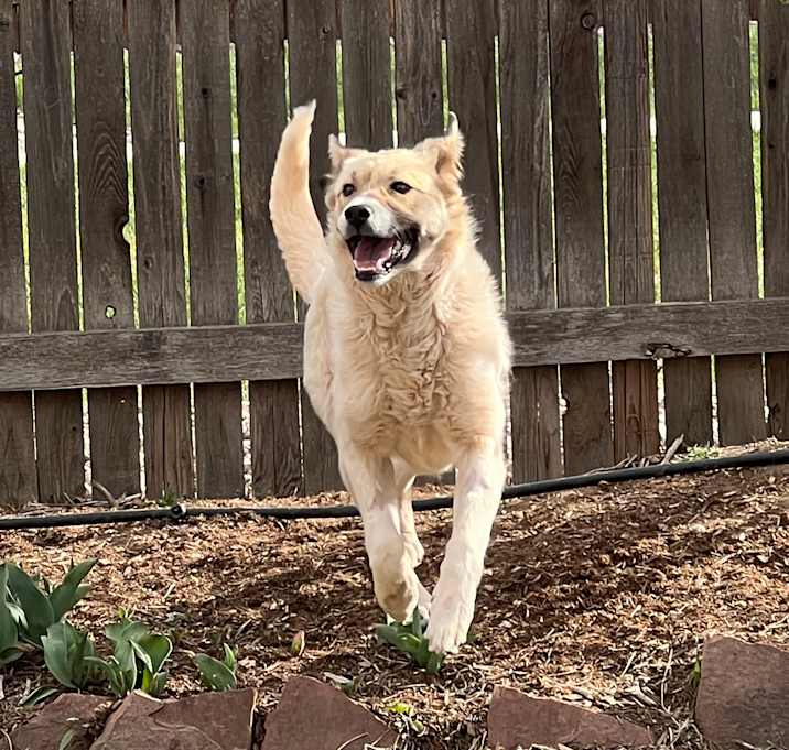 Photo of Bagel