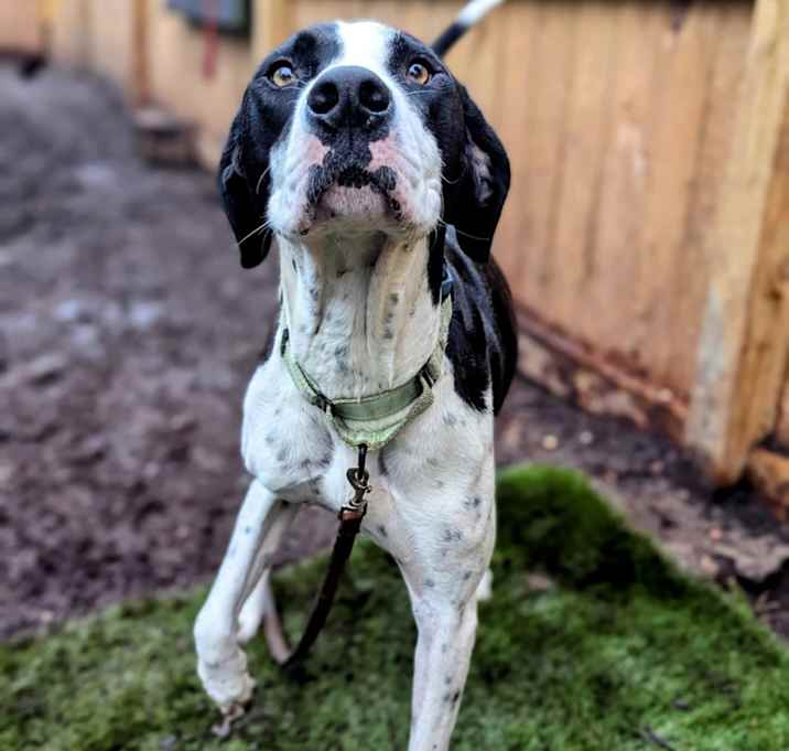 Photo of Rory Roo