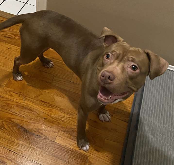 Photo of Coco