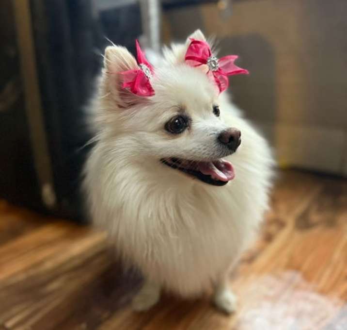 Photo of Nina