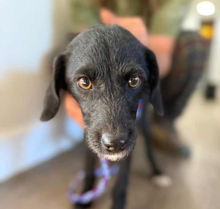 Photo of Julep
