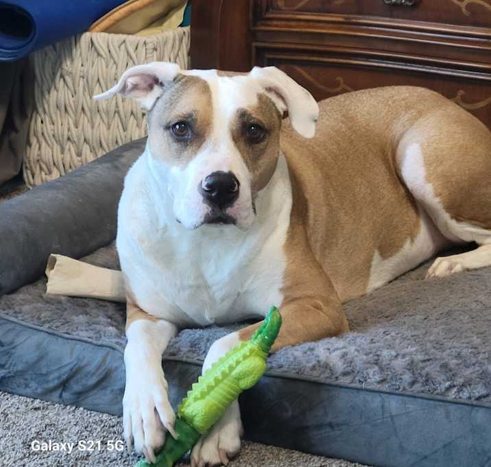 Photo of Coco
