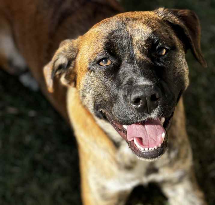 Photo of Maggie