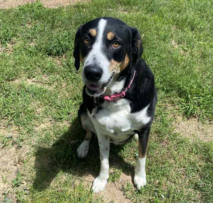 Photo of Lucy