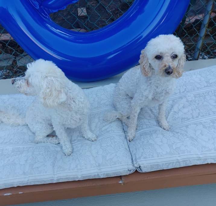 Photo of Sophia and Greta