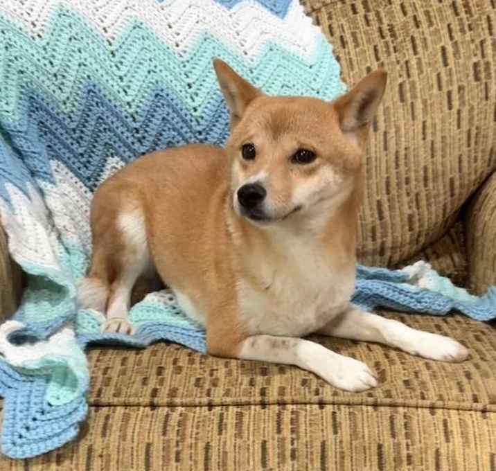 Photo of Franny