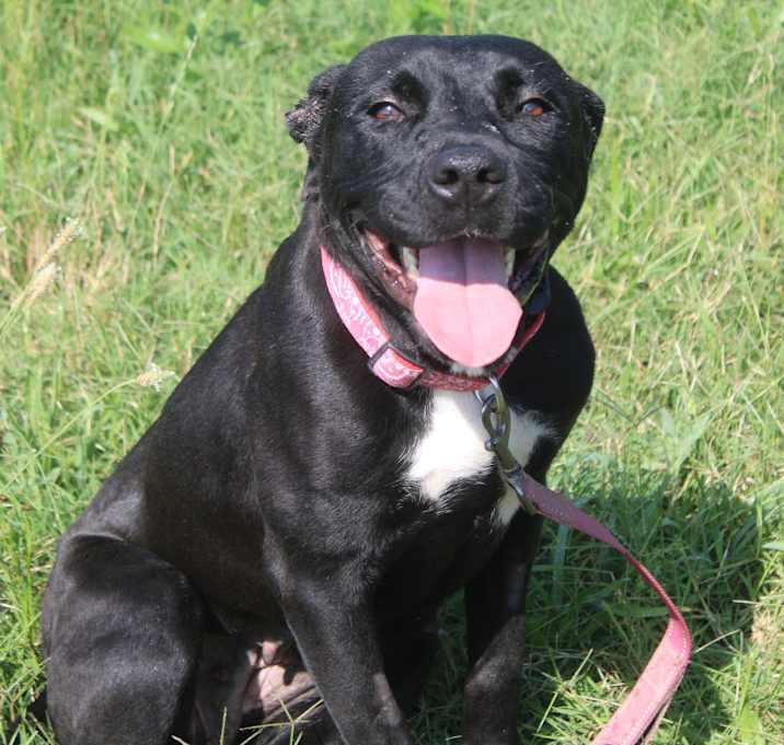 Photo of Little Lady