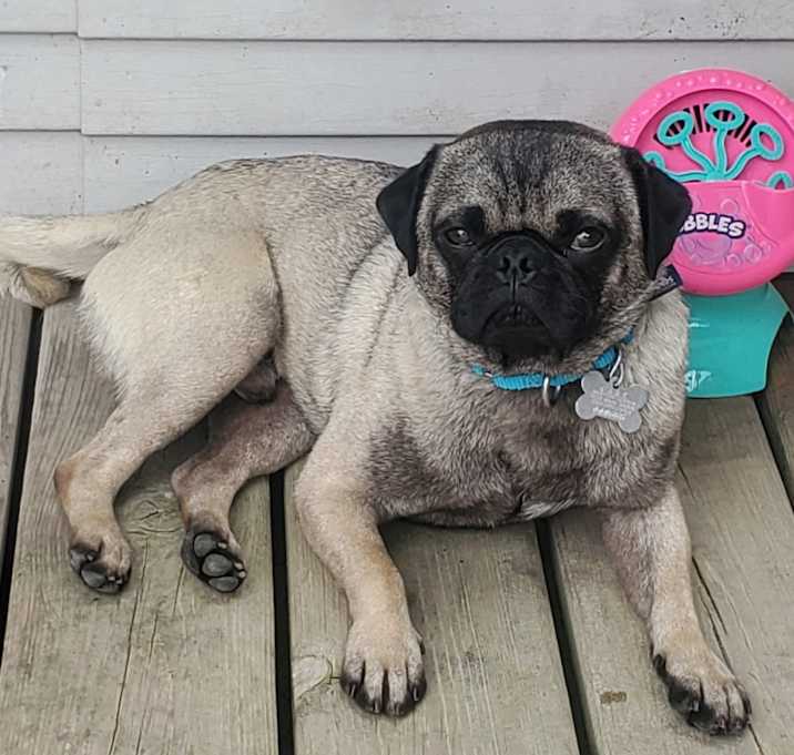 Photo of Chiquito