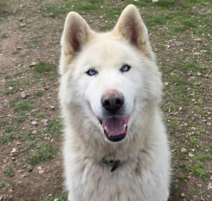 Photo of Cupcake