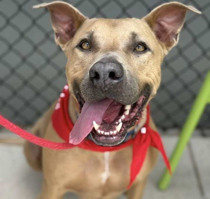 Photo of Maximus