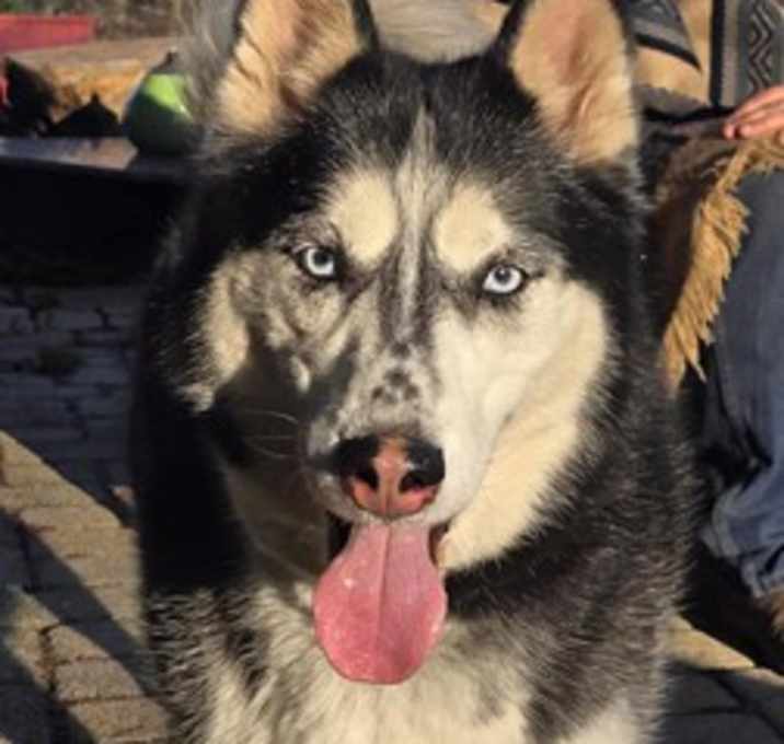 Photo of Zuko