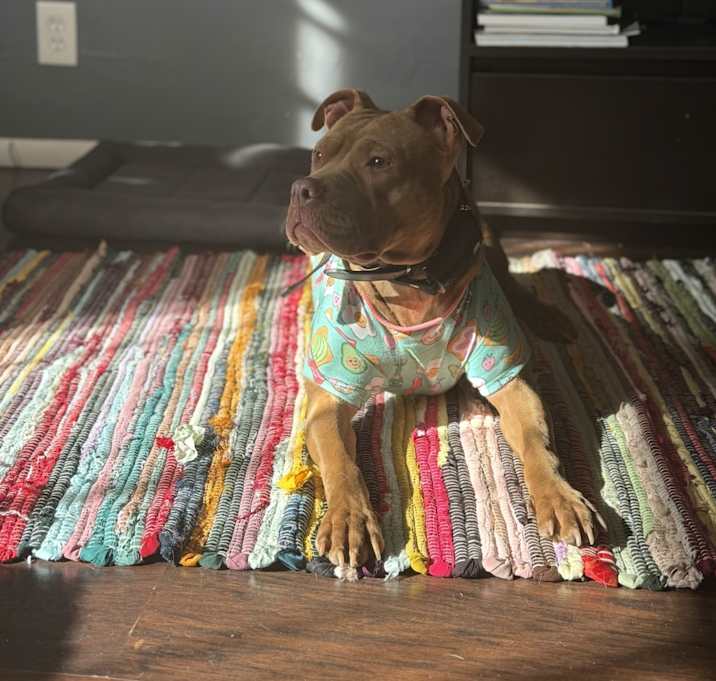 Photo of Millie