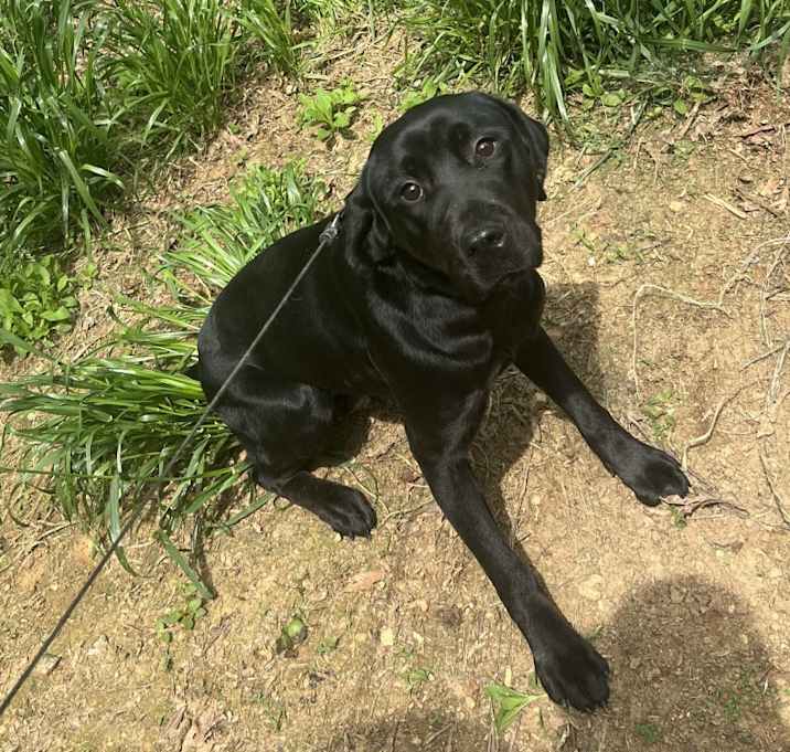 Photo of Zena