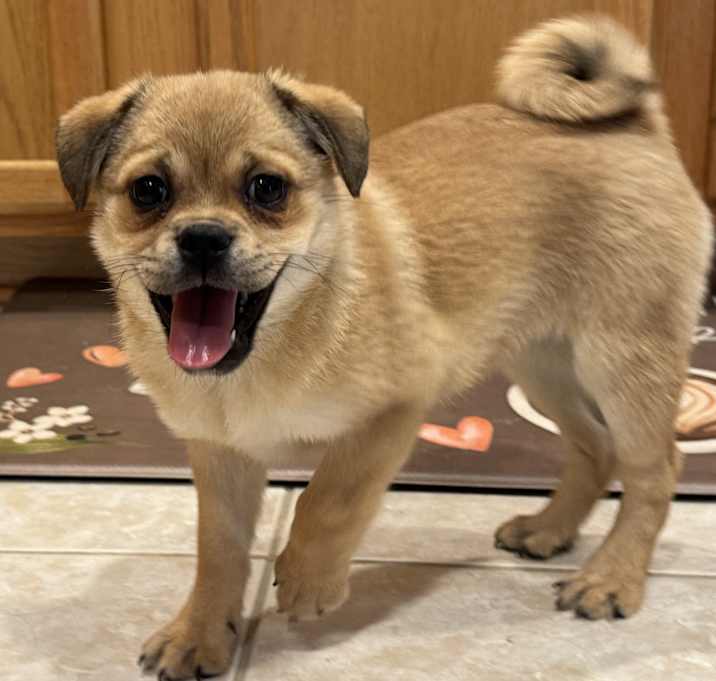 Photo of Chloe