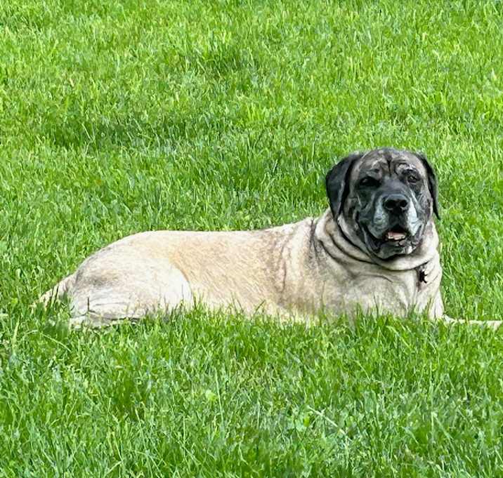 Photo of Zeus