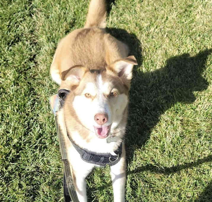 Photo of Arya