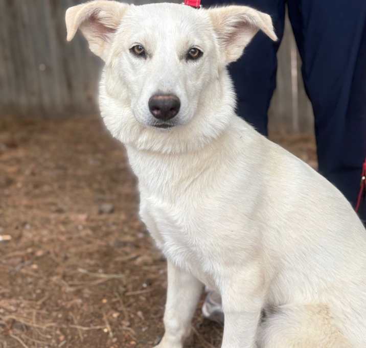 Photo of Lulu