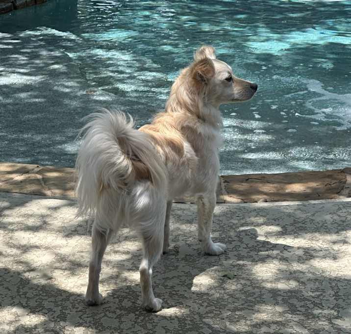 Photo of Josie