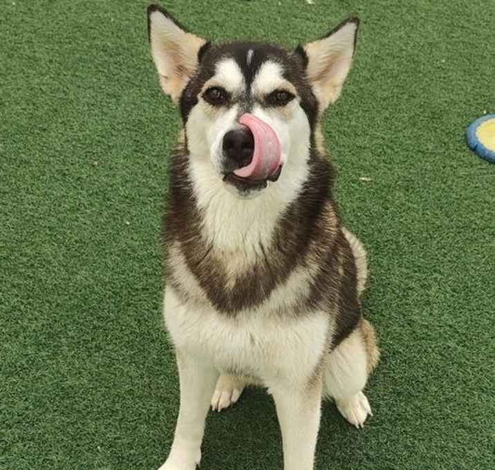 Photo of Alaska