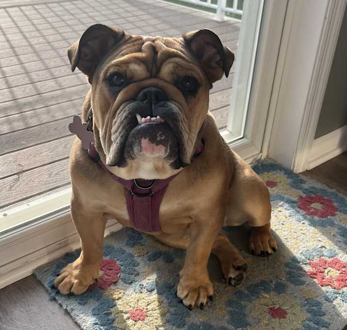 Photo of Wilma