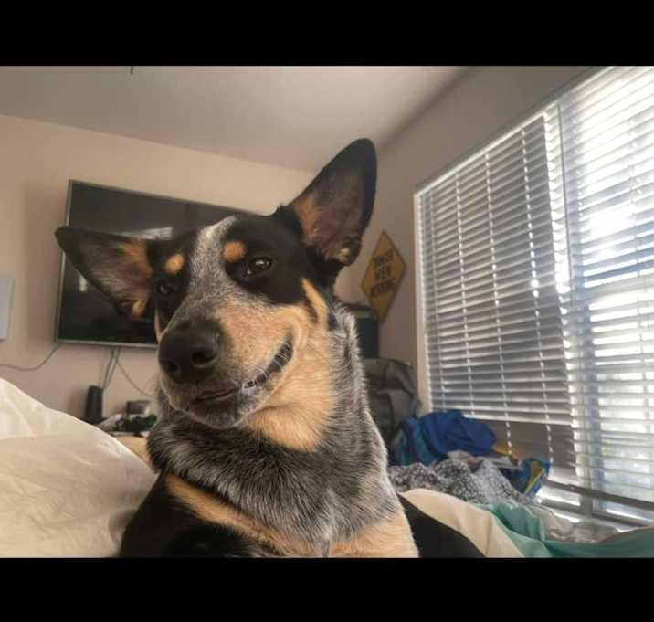 Photo of Chase