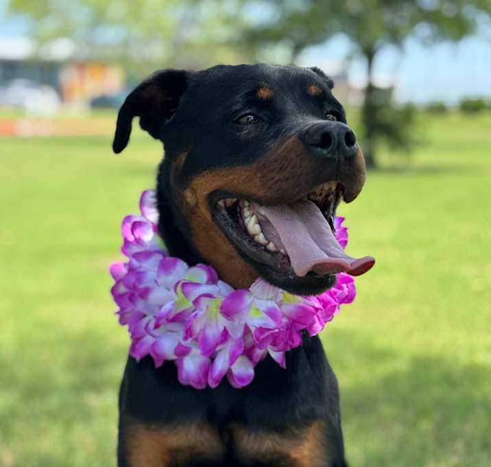 Photo of Athena