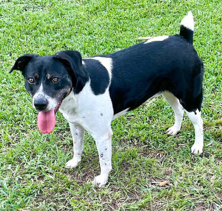 Photo of Rocky Balbone