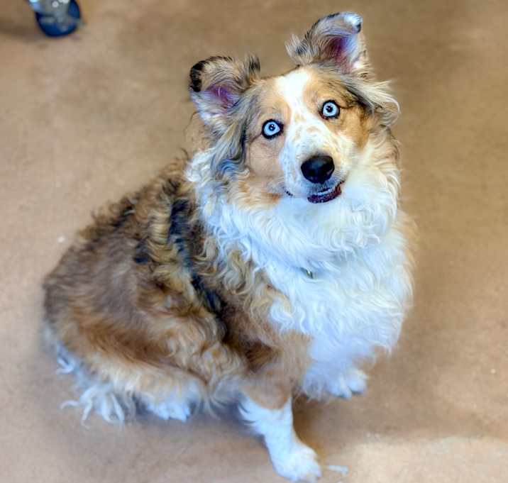 Photo of INDIE