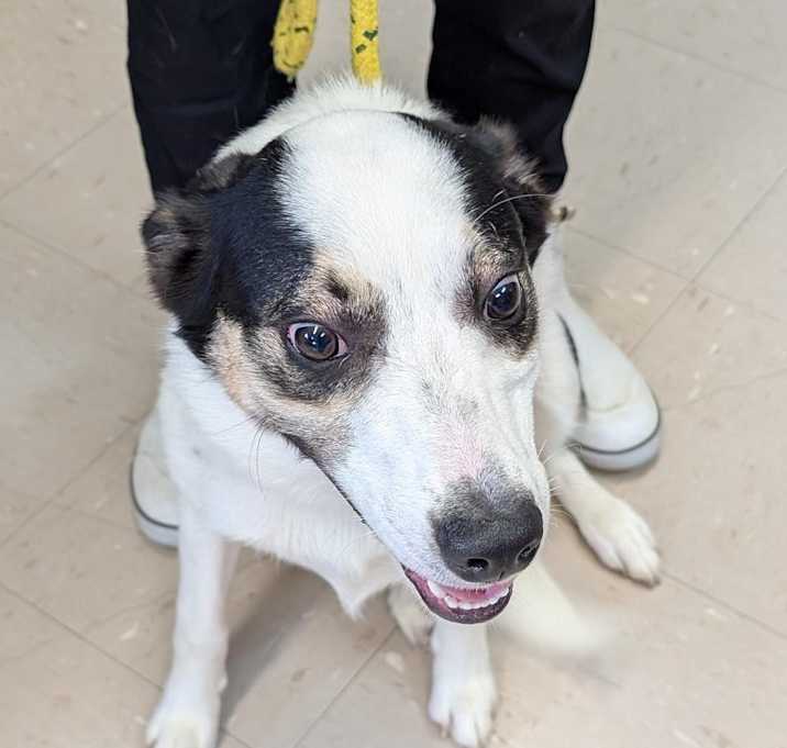 Photo of Cash