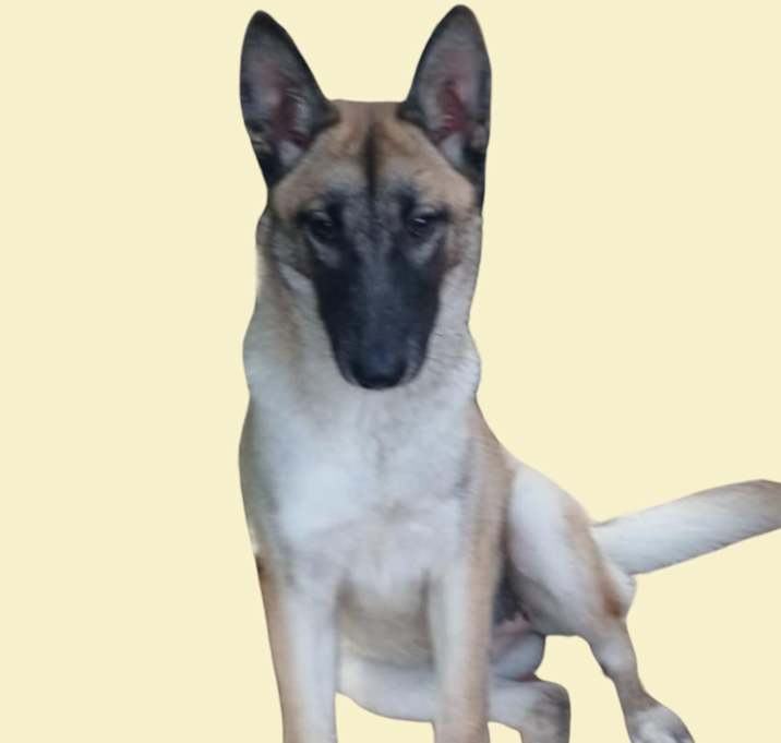 Photo of Ruby