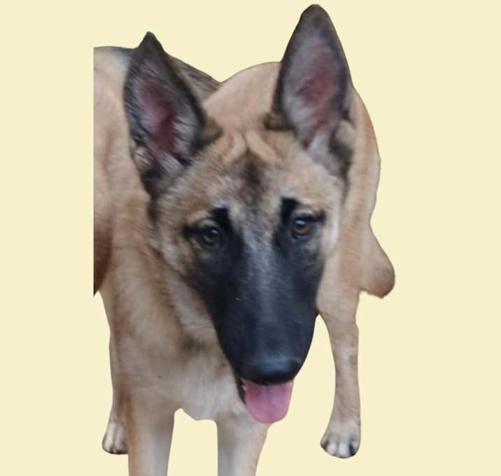 Photo of Mia