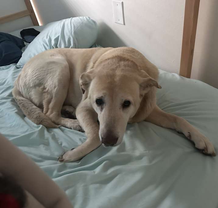 Photo of Zoe