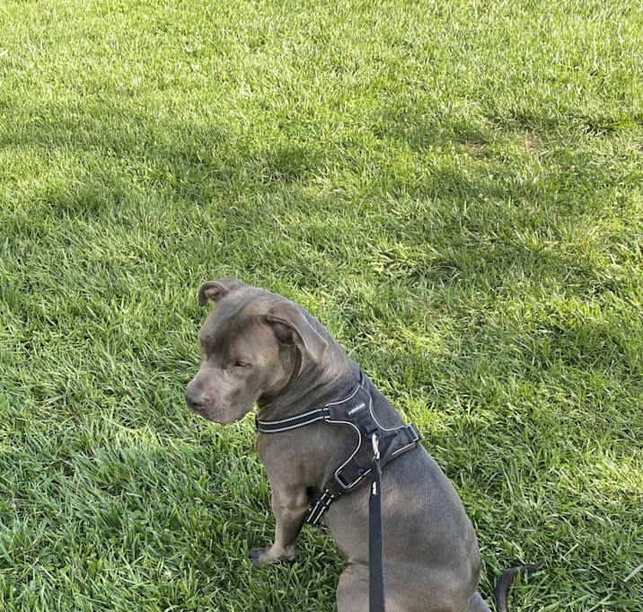 Photo of CoCo