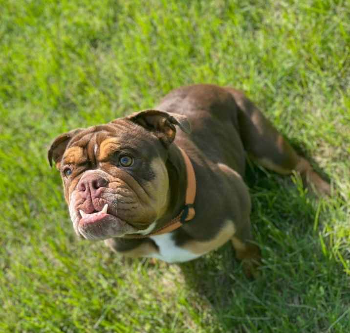 Photo of CoCo