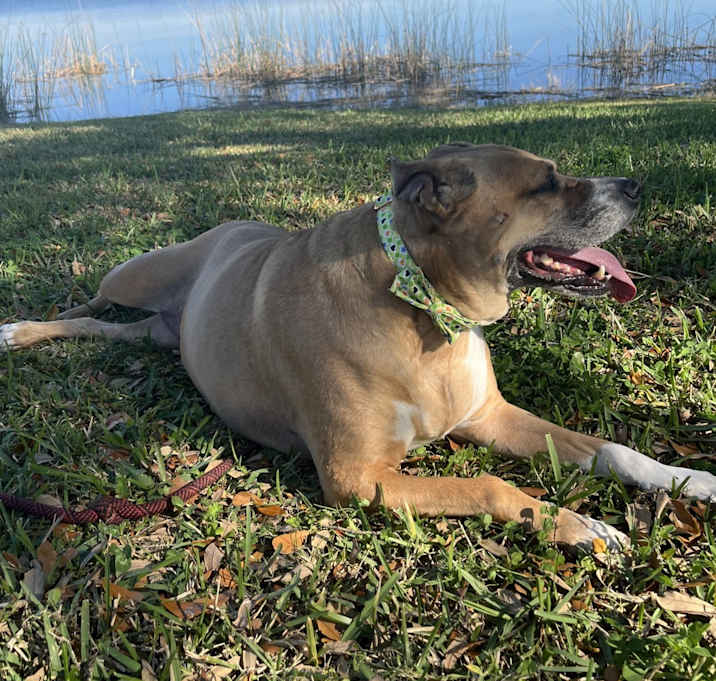 Photo of Cali