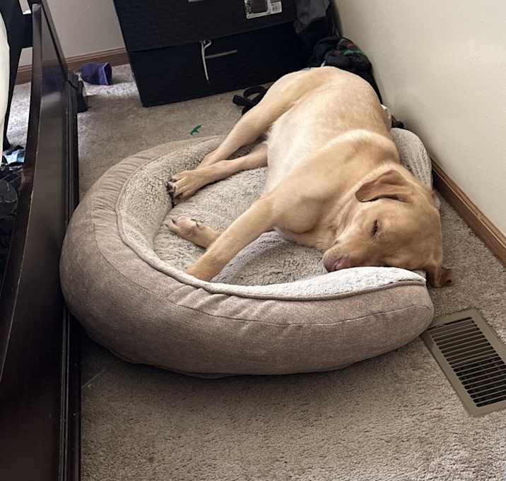Photo of Bentley