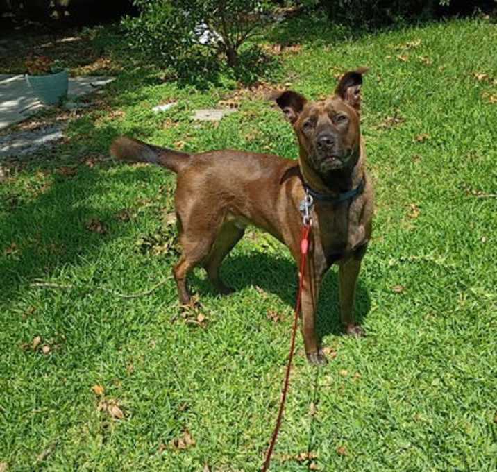 Photo of Ceaser