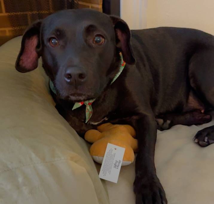 Photo of Nyla