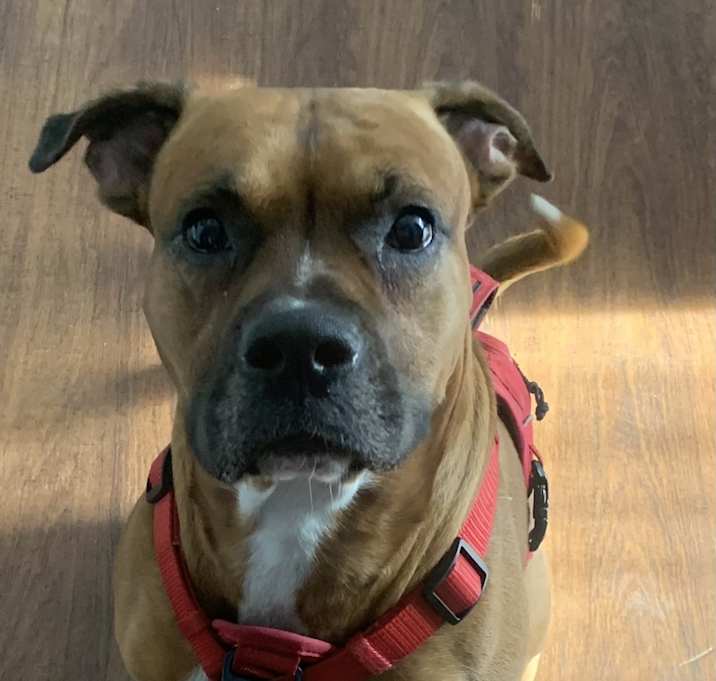 Photo of Gus