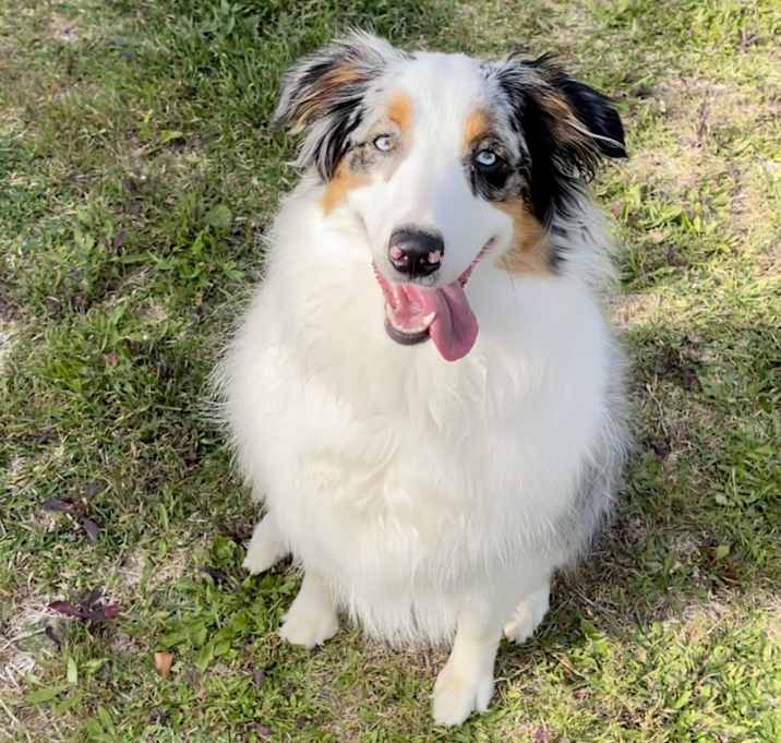Photo of Stormie