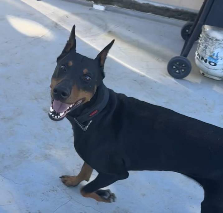 Photo of Kobe