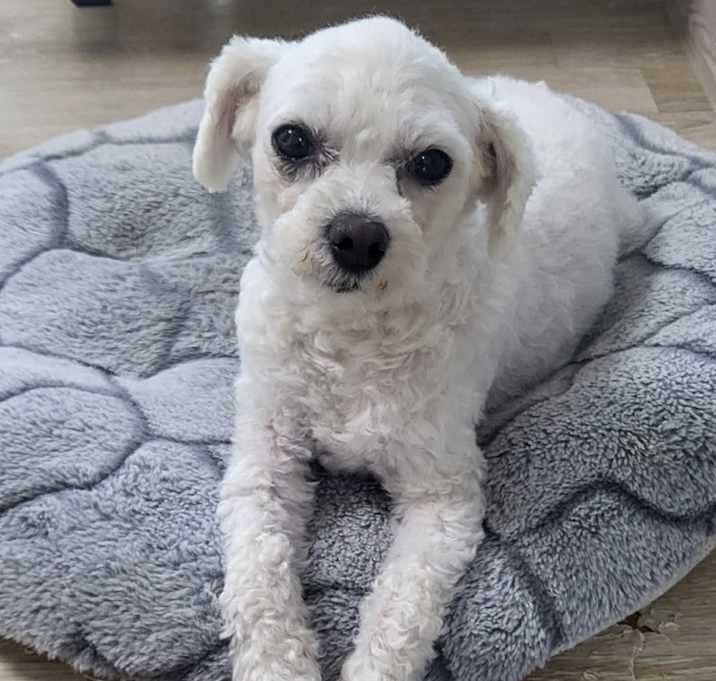 Photo of Dasom