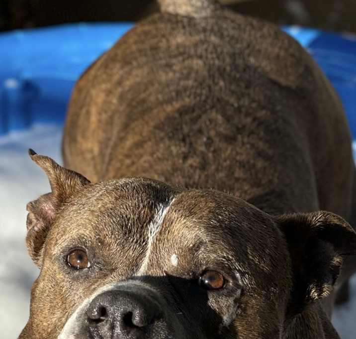 Photo of Gunnar
