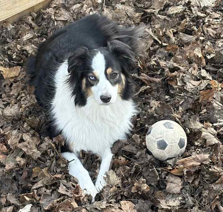 Photo of Luna