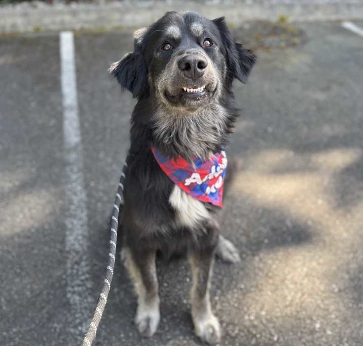 Photo of Fred