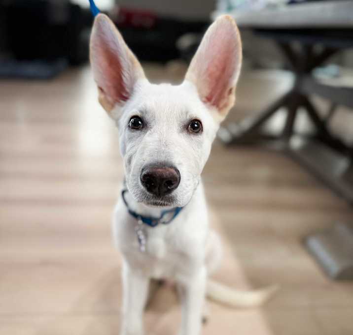 Jango Photo #2