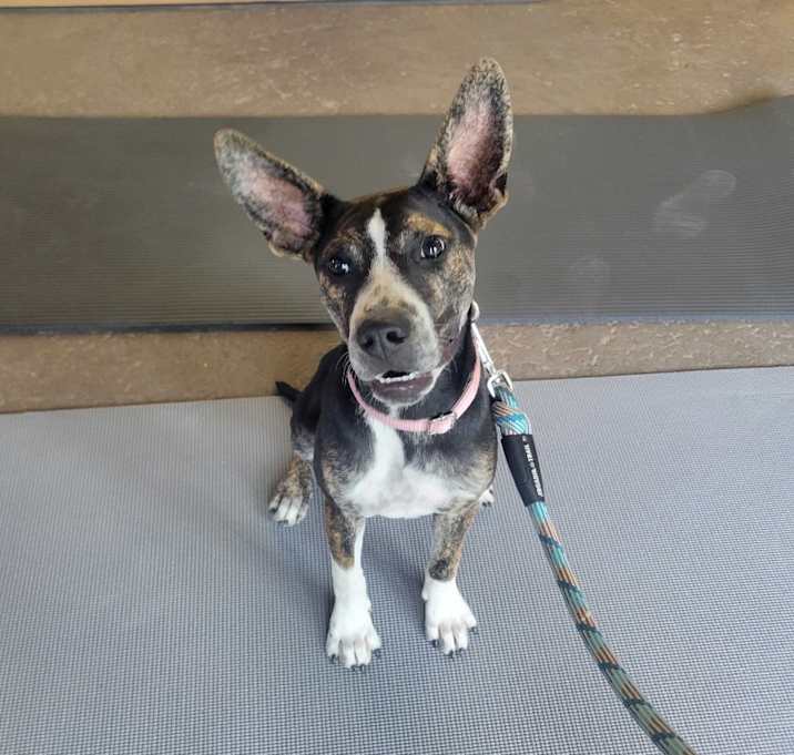 Photo of Dutchess