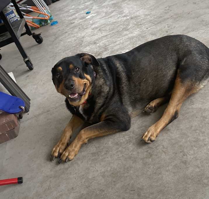 Photo of Titan